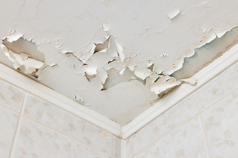ceiling and drywall water damage
