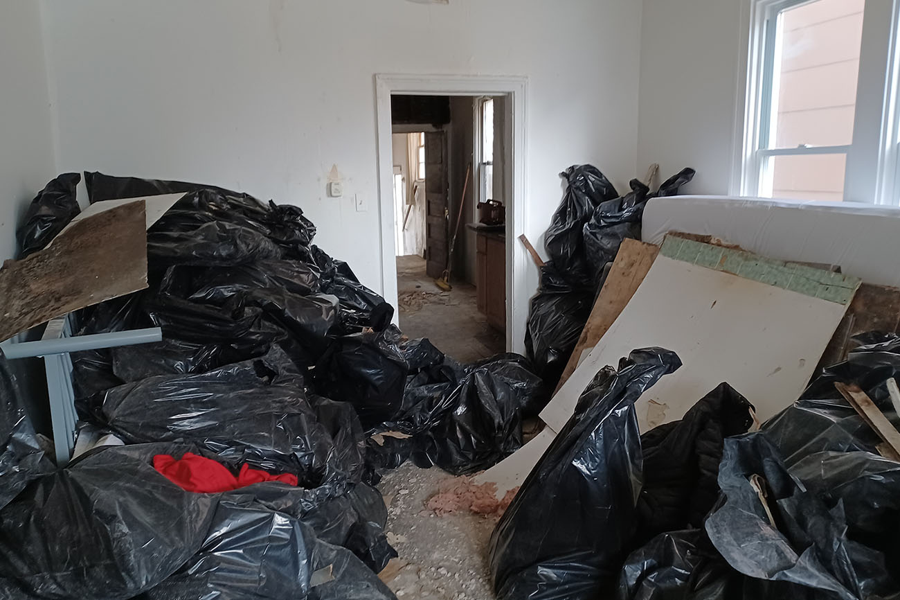 professional cleanup and trash removal